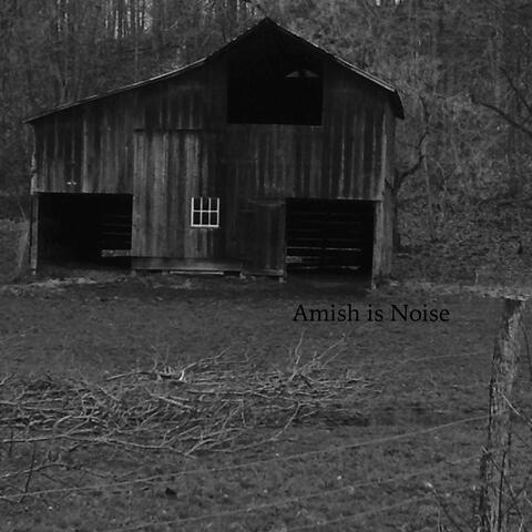Amish Is Noise