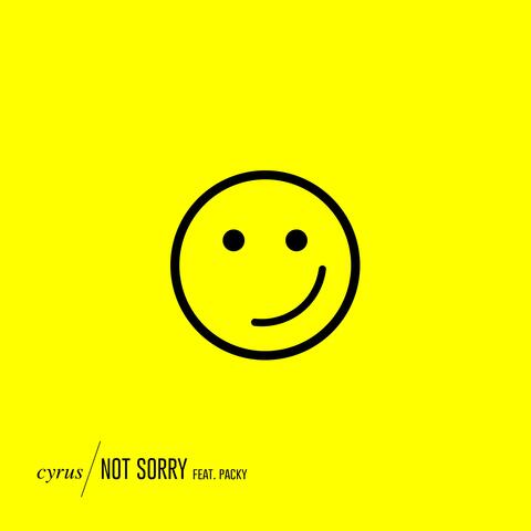 Not Sorry (feat. Packy)