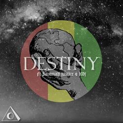 Destiny (feat. Savanah Justice & King David James)