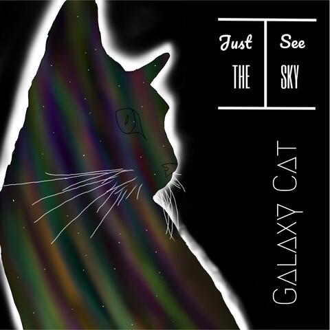 Galaxy Cat