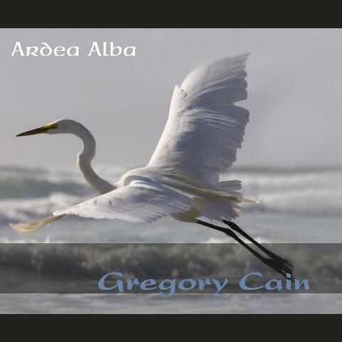 Ardea Alba