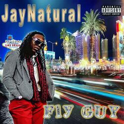 Fly Guy