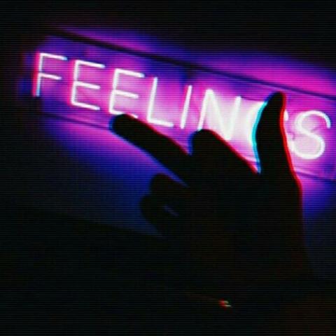 No Feelings