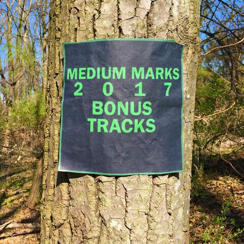 2017 Bonus Tracks