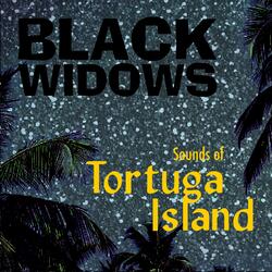 Escape to Tortuga Island
