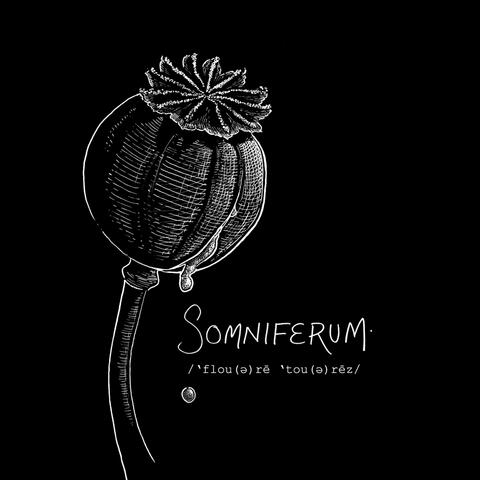 Somniferum
