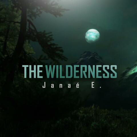 The Wilderness