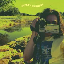 Fuzzy Springs
