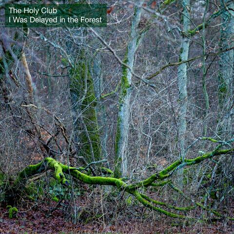 I Was Delayed in the Forest