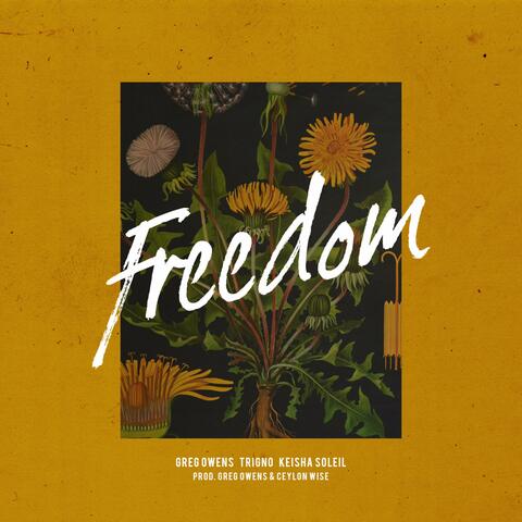 Freedom (feat. Trigno & Keisha Soleil)