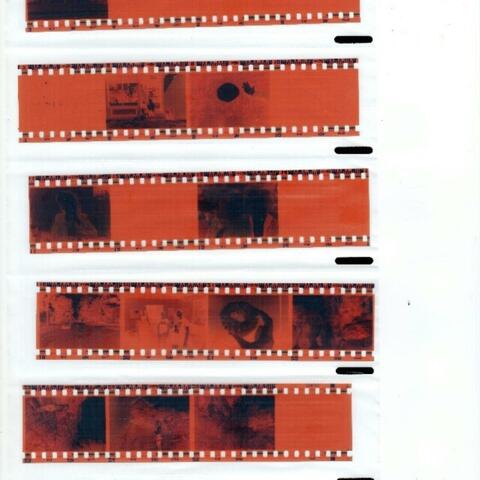 Negatives to Positives