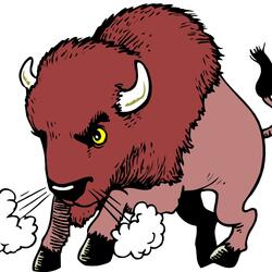 Buffalo Style (feat. E. Sinatra)