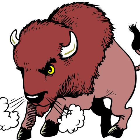Buffalo Style (feat. E. Sinatra)