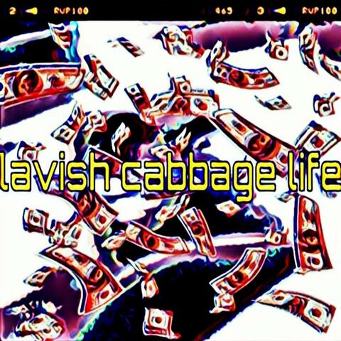 Lavish Cabbage Life