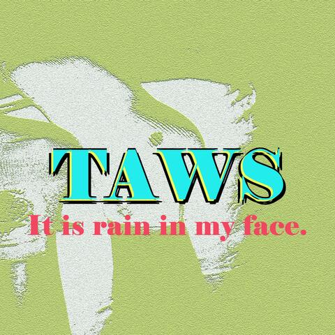 Taws