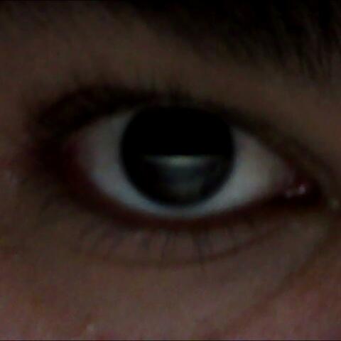 Until Heaven Takes Me