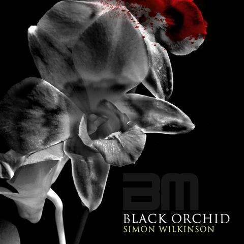 Black Orchid