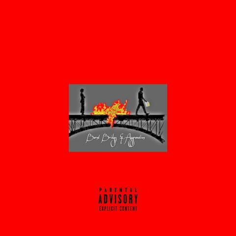 Burnt Bridges & Aggravation