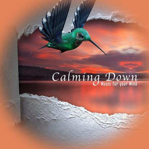 Calming Down (Music for Your Mind)