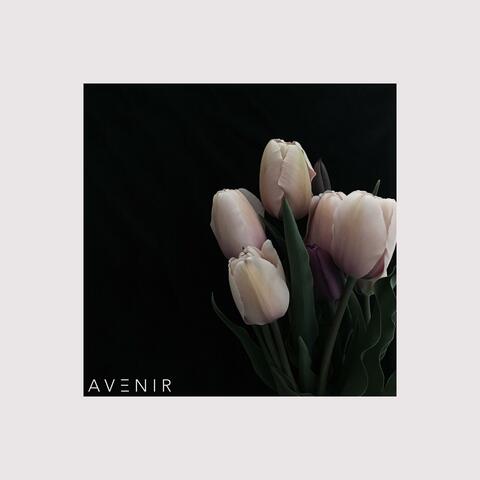 Avenir