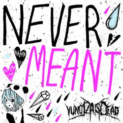 Never Meant