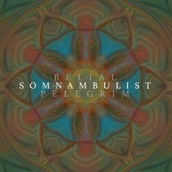 Somnambulist