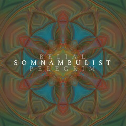 Somnambulist