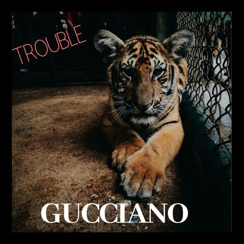Trouble