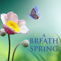 A Breath of Spring