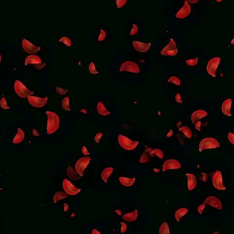 Red Roses