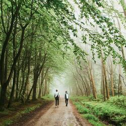 You're the Best Pain I've Ever Had.