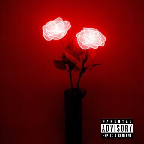 Rose from the Dirt