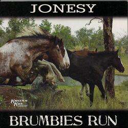 Brumbies Run (Instrumental)