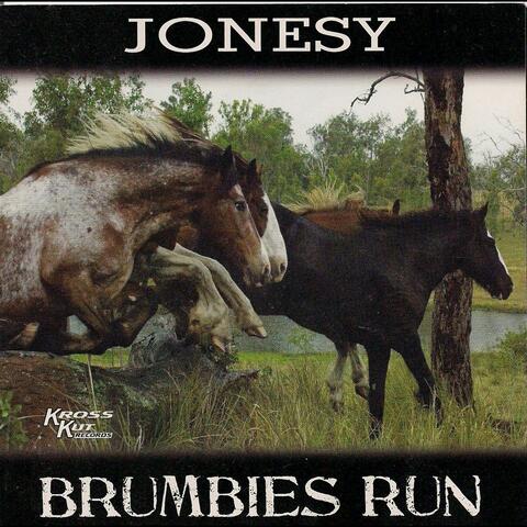Brumbies Run