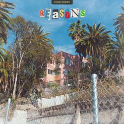 Reasons