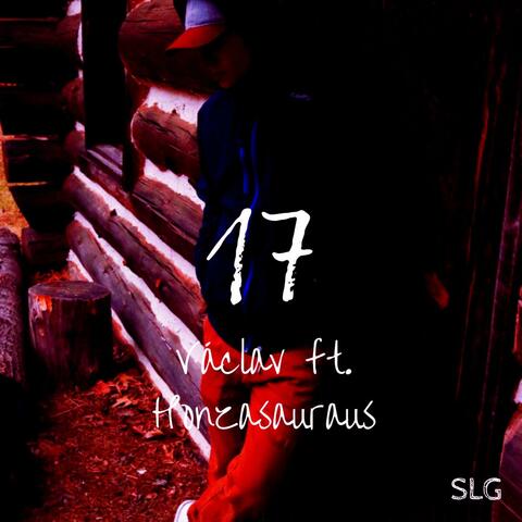 17 (feat. Honzasauraus)