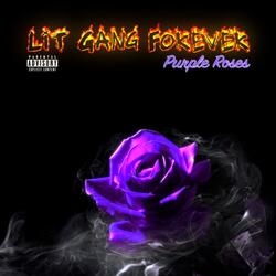 Purple Roses