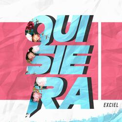 Quisiera