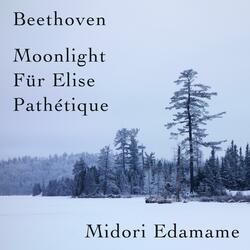 Beethoven: Piano Sonata No. 14 Adagio Sostenuto ‘Moonlight’