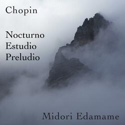 Chopin: Preludio Op. 28 n.º 15 Gota de Lluvia