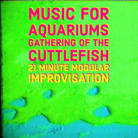 Music for Aquariums: Gathering of the Cuttlefish