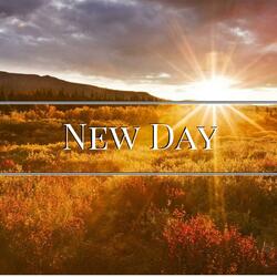 New Day