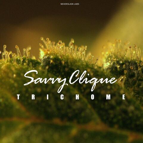 Trichome