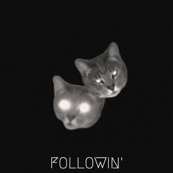 Followin'