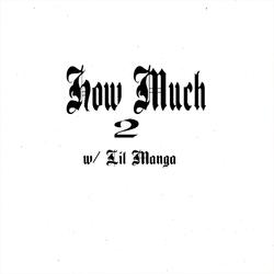 How Much, Pt. 2 (feat. Lil Manga)