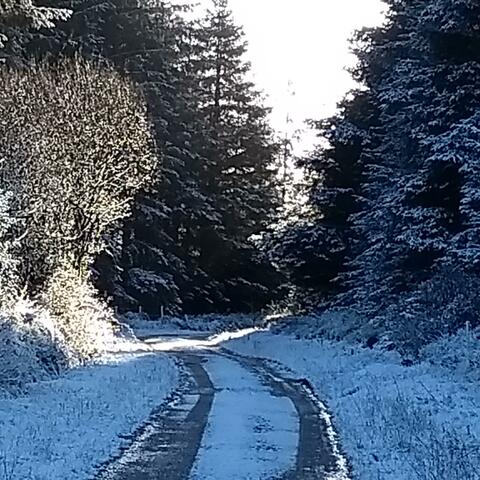 Off the Beaten Track