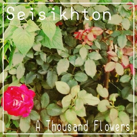 A Thousand Flowers