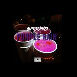 Purple Rain (feat. BirdieBands)
