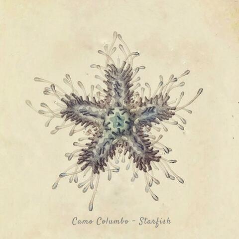 Starfish
