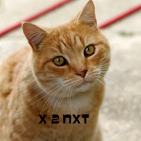 X 2 NXT